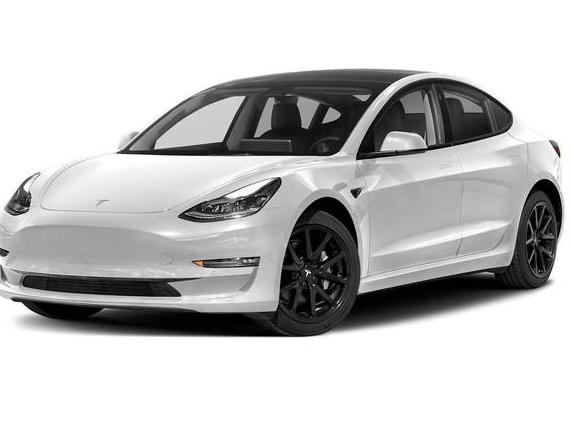 TESLA MODEL 3 2023 5YJ3E1EC7PF517850 image